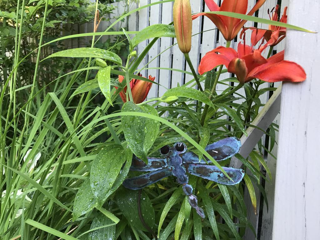 Dragonfly Guest House Ogunquit Exterior foto