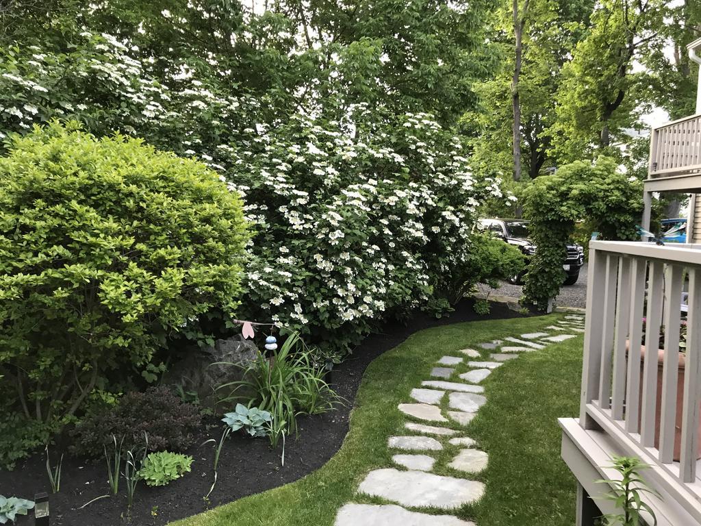 Dragonfly Guest House Ogunquit Exterior foto